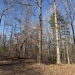 Property photo for land for sale in Hardin County Tennessee
