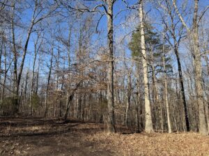 Property photo for land for sale in Hardin County Tennessee