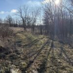 Property photo for land for sale in Scotland County Missouri