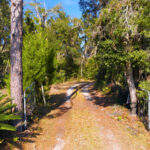 Property photo for land for sale in Levy County Florida