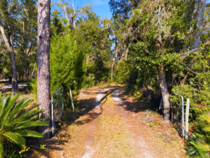 Property photo for land for sale in Levy County Florida