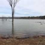 Property photo for land for sale in Cleburne County Arkansas