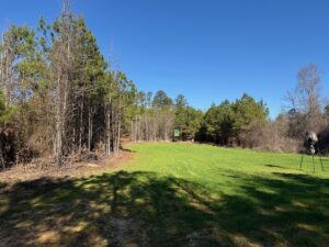 Property photo for land for sale in Hale County Alabama