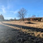 Property photo for land for sale in Floyd County Virginia