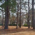 Property photo for land for sale in Perquimans County North Carolina