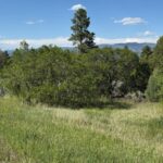 Property photo for land for sale in Rio Arriba County New Mexico