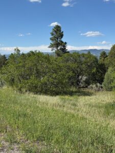 Property photo for land for sale in Rio Arriba County New Mexico