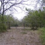 Property photo for land for sale in San Patricio County Texas