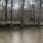 Property photo for land for sale in Orange County Texas