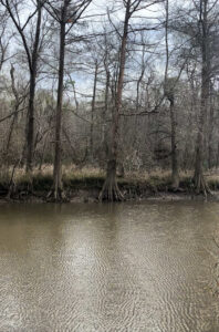 Property photo for land for sale in Orange County Texas