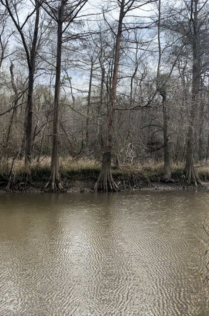 Property photo for land for sale in Orange County Texas