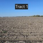 Property photo for land for sale in Kleberg County Texas