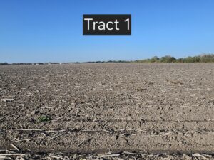 Property photo for land for sale in Kleberg County Texas