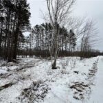 Property photo for land for sale in Pine County Minnesota