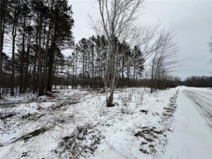 Property photo for land for sale in Pine County Minnesota