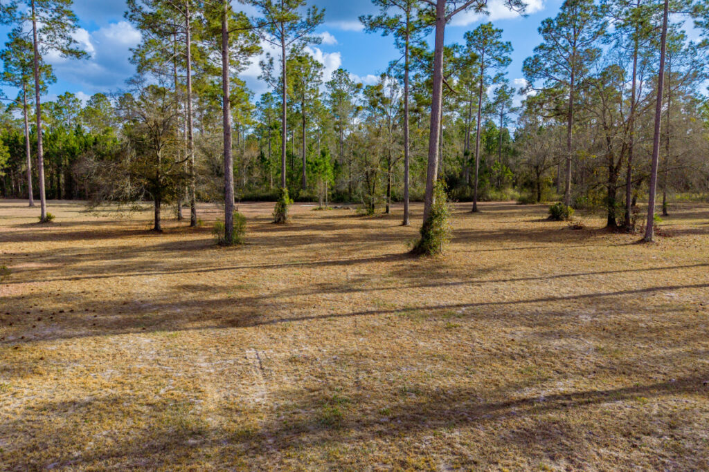 Property photo for land for sale in Union County Florida