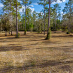 Property photo for land for sale in Union County Florida