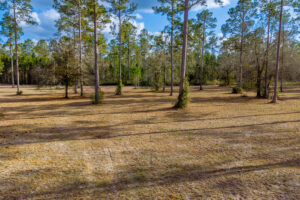 Property photo for land for sale in Union County Florida