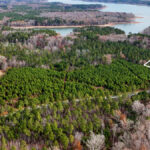 Property photo for land for sale in Vance County North Carolina