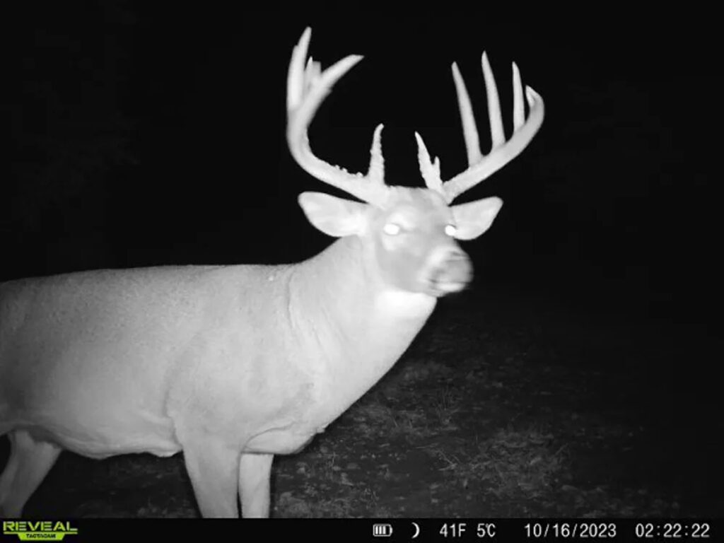 Property photo for land for sale in Osage County Kansas