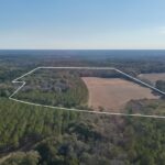 Property photo for land for sale in Henry County Alabama