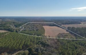 Property photo for land for sale in Henry County Alabama