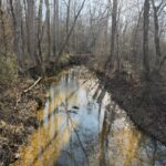 Property photo for land for sale in Hardin County Tennessee
