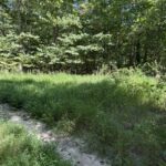Property photo for land for sale in Casey County Kentucky