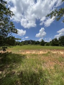 Property photo for land for sale in Pike County Alabama