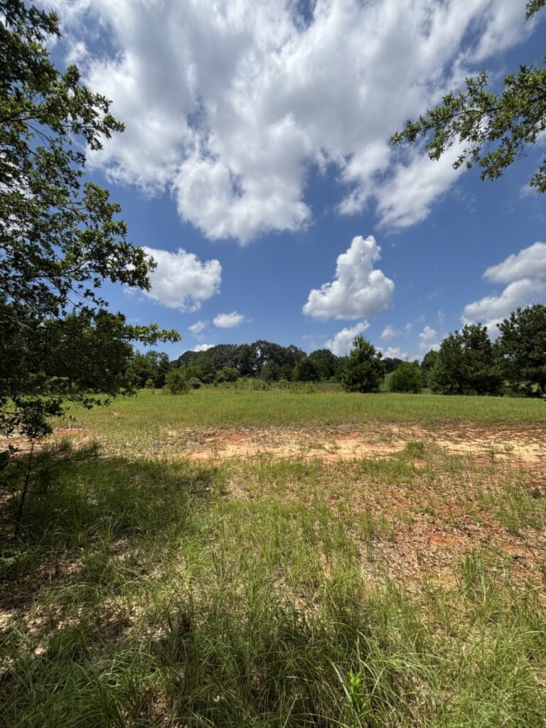 Property photo for land for sale in Pike County Alabama
