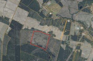 Property photo for land for sale in Bertie County North Carolina
