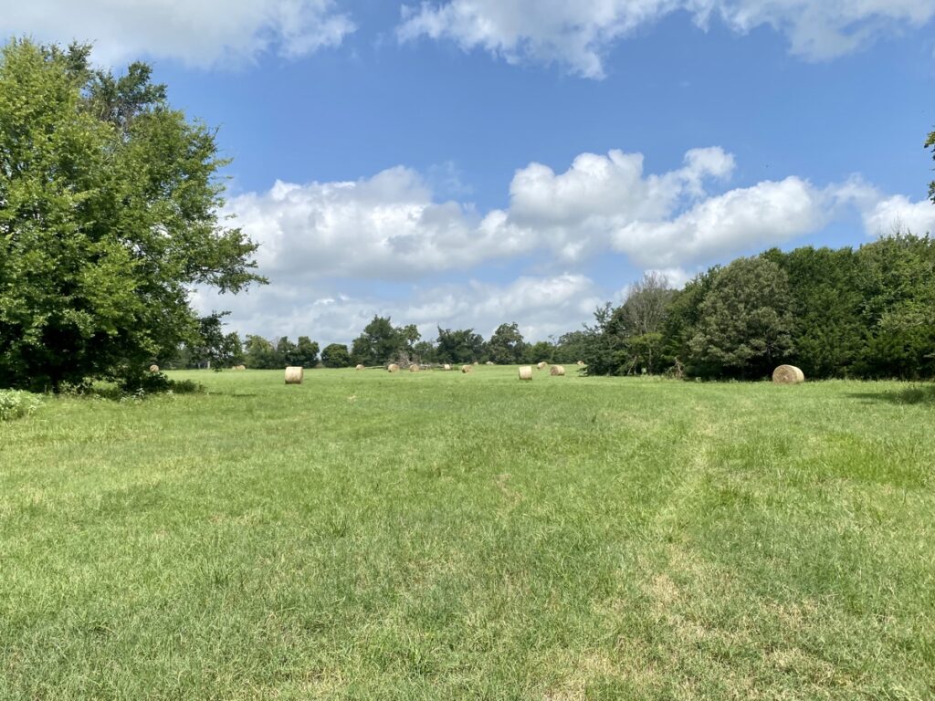 Property photo for land for sale in Franklin County Texas