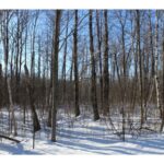 Property photo for land for sale in Mille Lacs County Minnesota