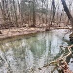Property photo for land for sale in Newton County Arkansas