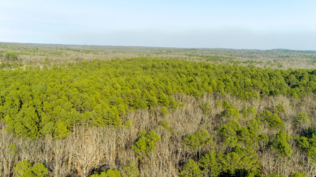 Property photo for land for sale in Dent County Missouri