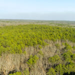 Property photo for land for sale in Dent County Missouri