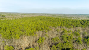 Property photo for land for sale in Dent County Missouri