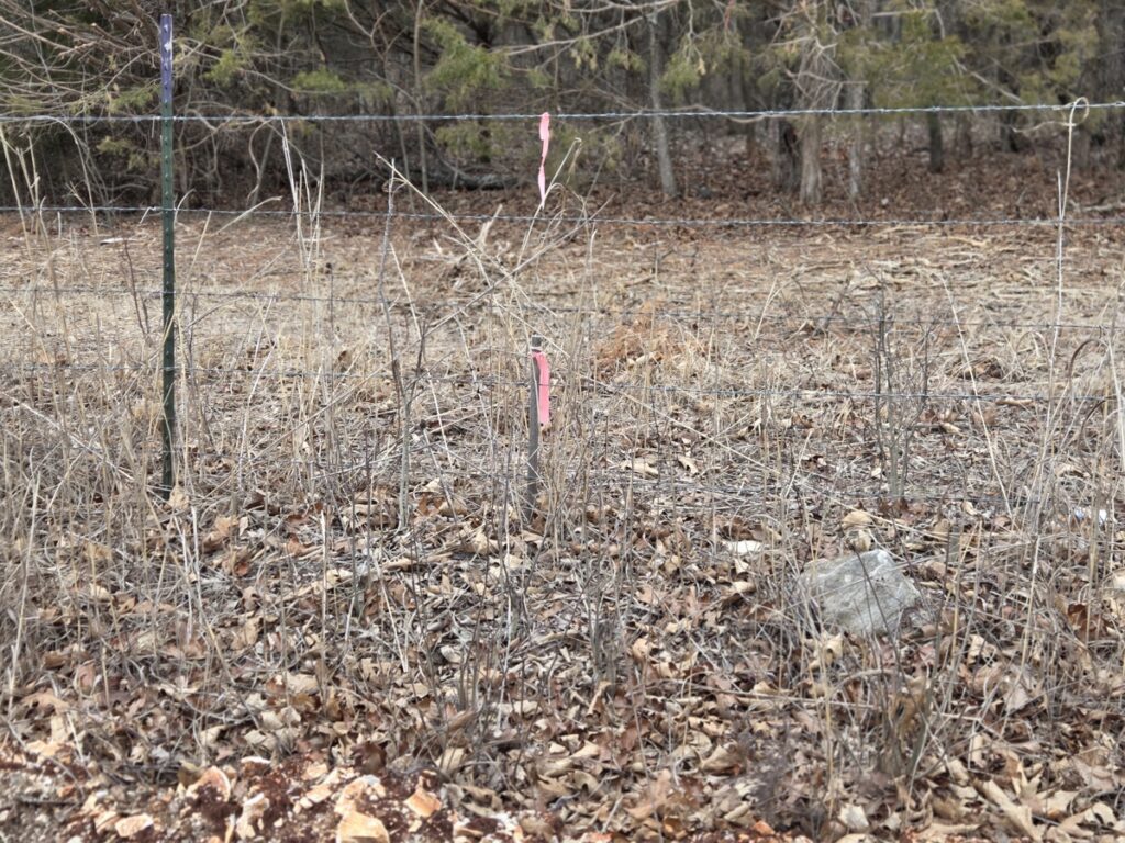 Property photo for land for sale in Dade County Missouri