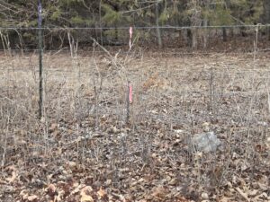 Property photo for land for sale in Dade County Missouri