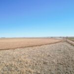 Property photo for land for sale in Cochran County Texas