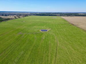 Property photo for land for sale in Pearl River County Mississippi