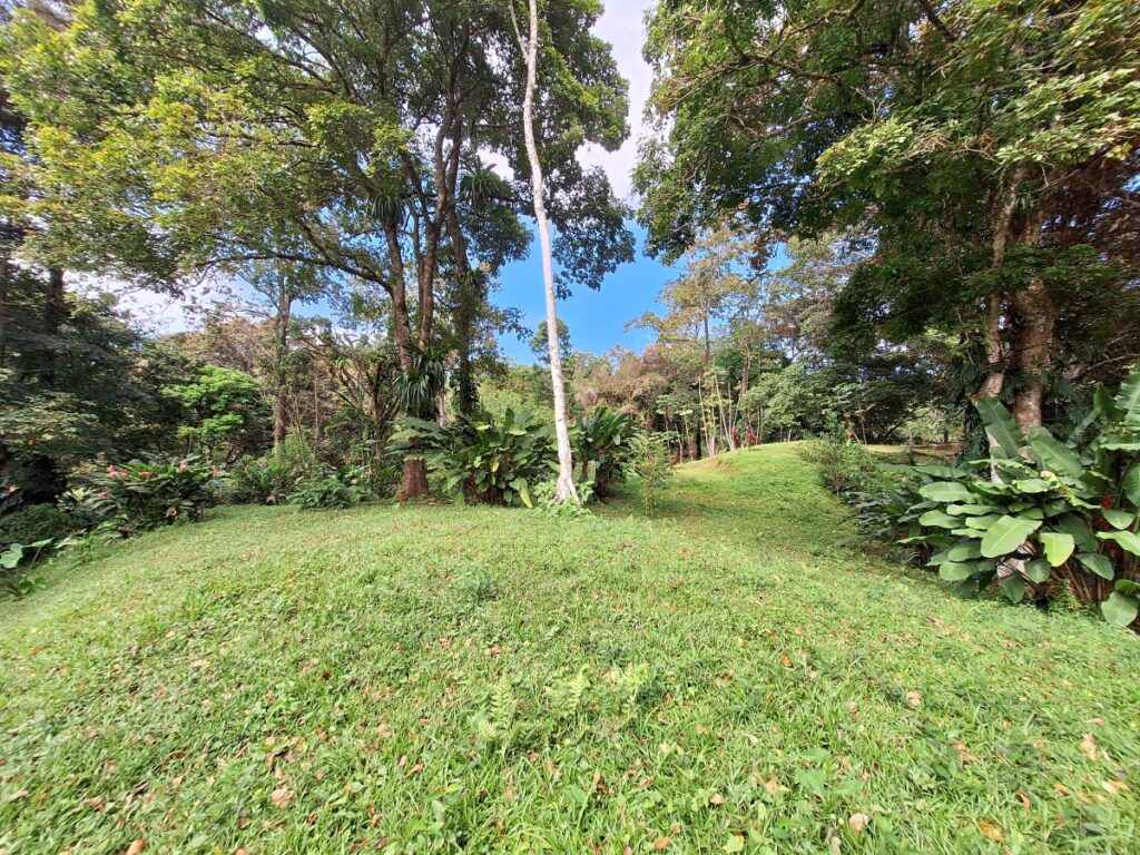 Property photo for land for sale in  County Panama