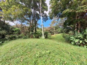 Property photo for land for sale in  County Panama