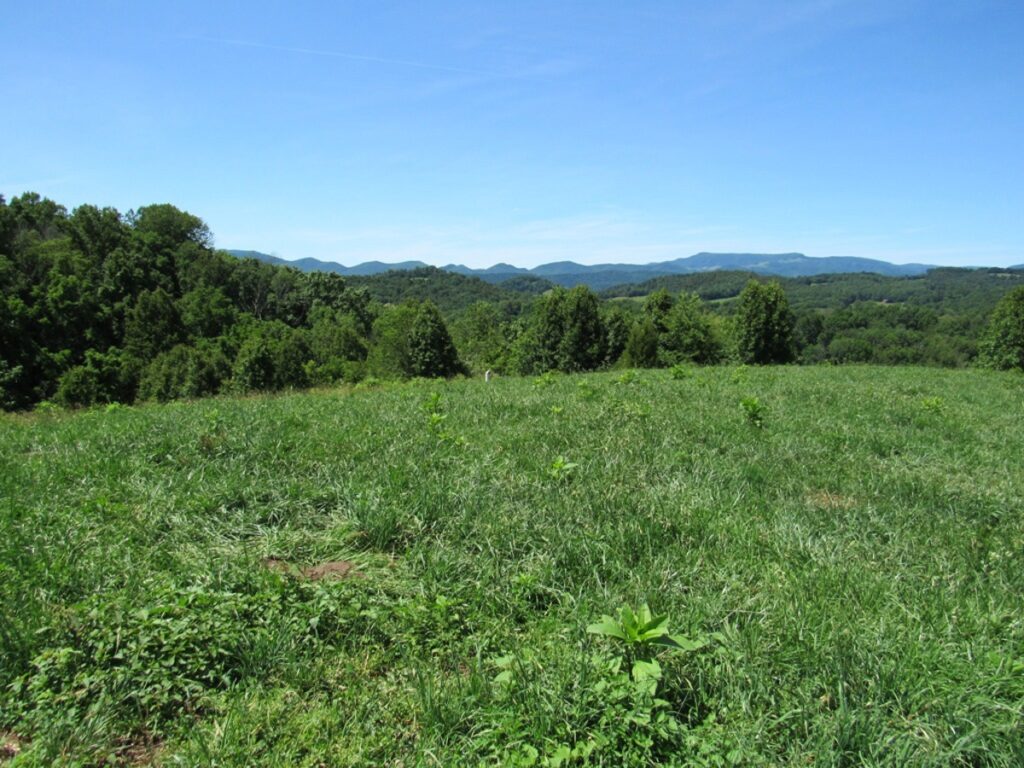 Property photo for land for sale in Washington County Virginia