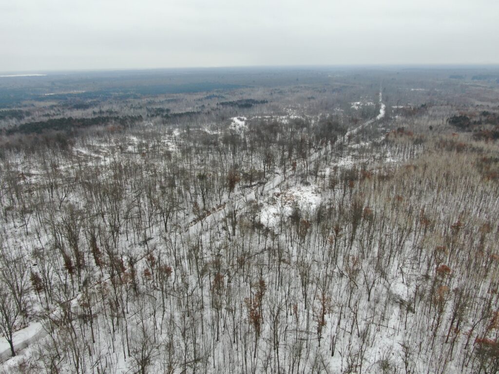 Property photo for land for sale in Juneau County Wisconsin