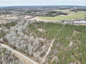 Property photo for land for sale in Geneva County Alabama