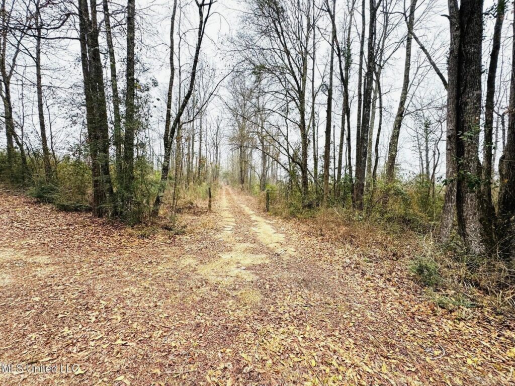 Property photo for land for sale in Walthall County Mississippi