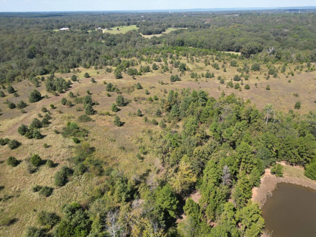Property photo for land for sale in Pushmataha County Oklahoma