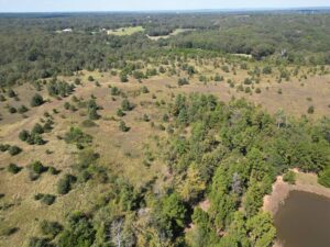 Property photo for land for sale in Pushmataha County Oklahoma