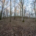 Property photo for land for sale in Jefferson County Mississippi